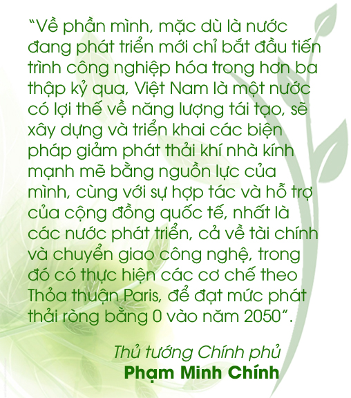 Vì một hành tinh Xanh ảnh 17