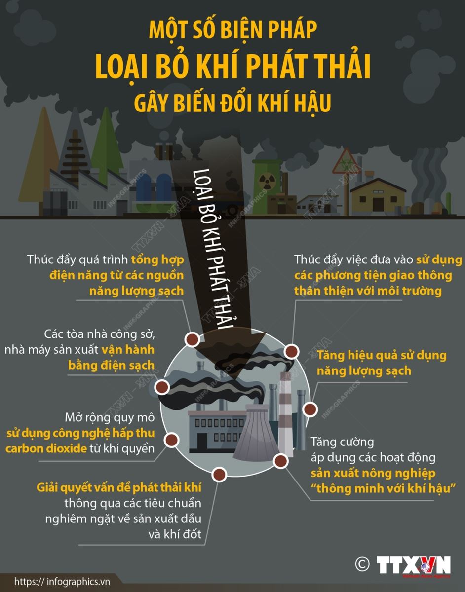 Vì một hành tinh Xanh ảnh 11