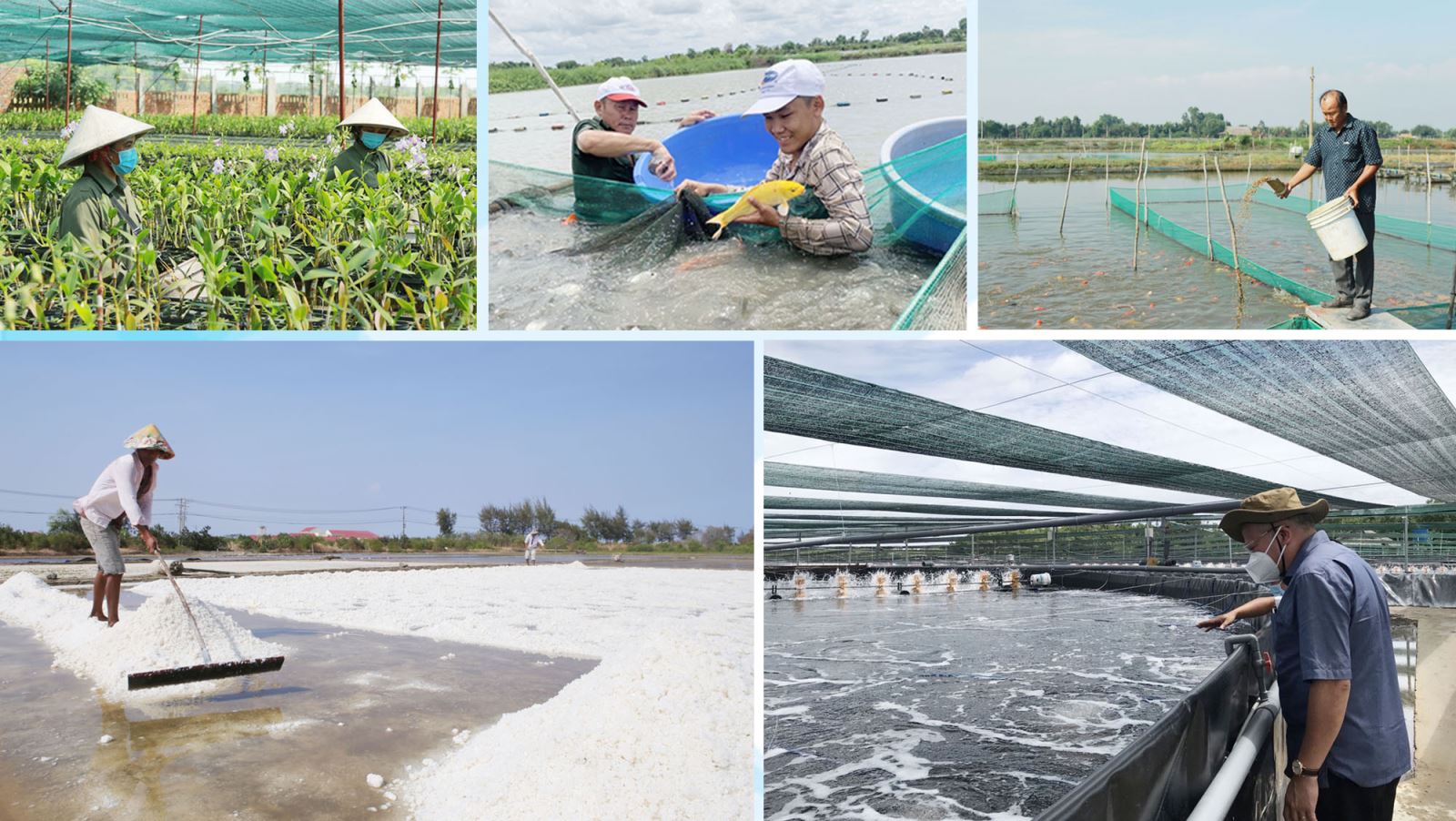 Người dân, doanh nghiệp khôi phục sản xuất nông nghiệp.