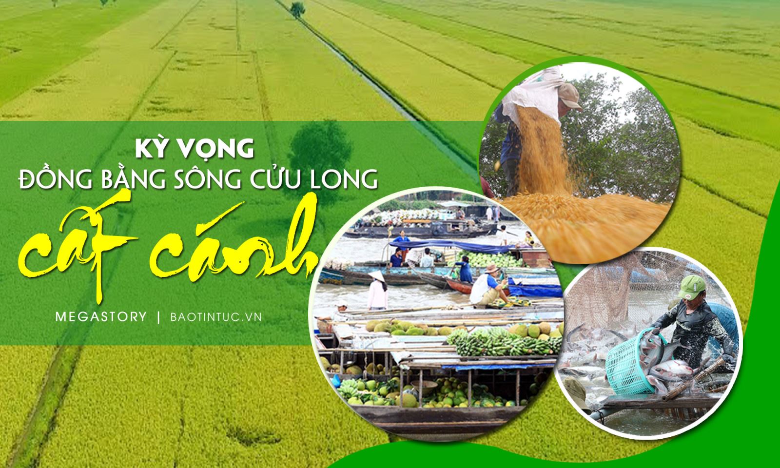 Kỳ vọng Đồng bằng sông Cửu Long cất cánh 