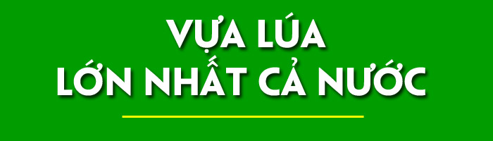 Kỳ vọng Đồng bằng sông Cửu Long cất cánh&nbsp; ảnh 1