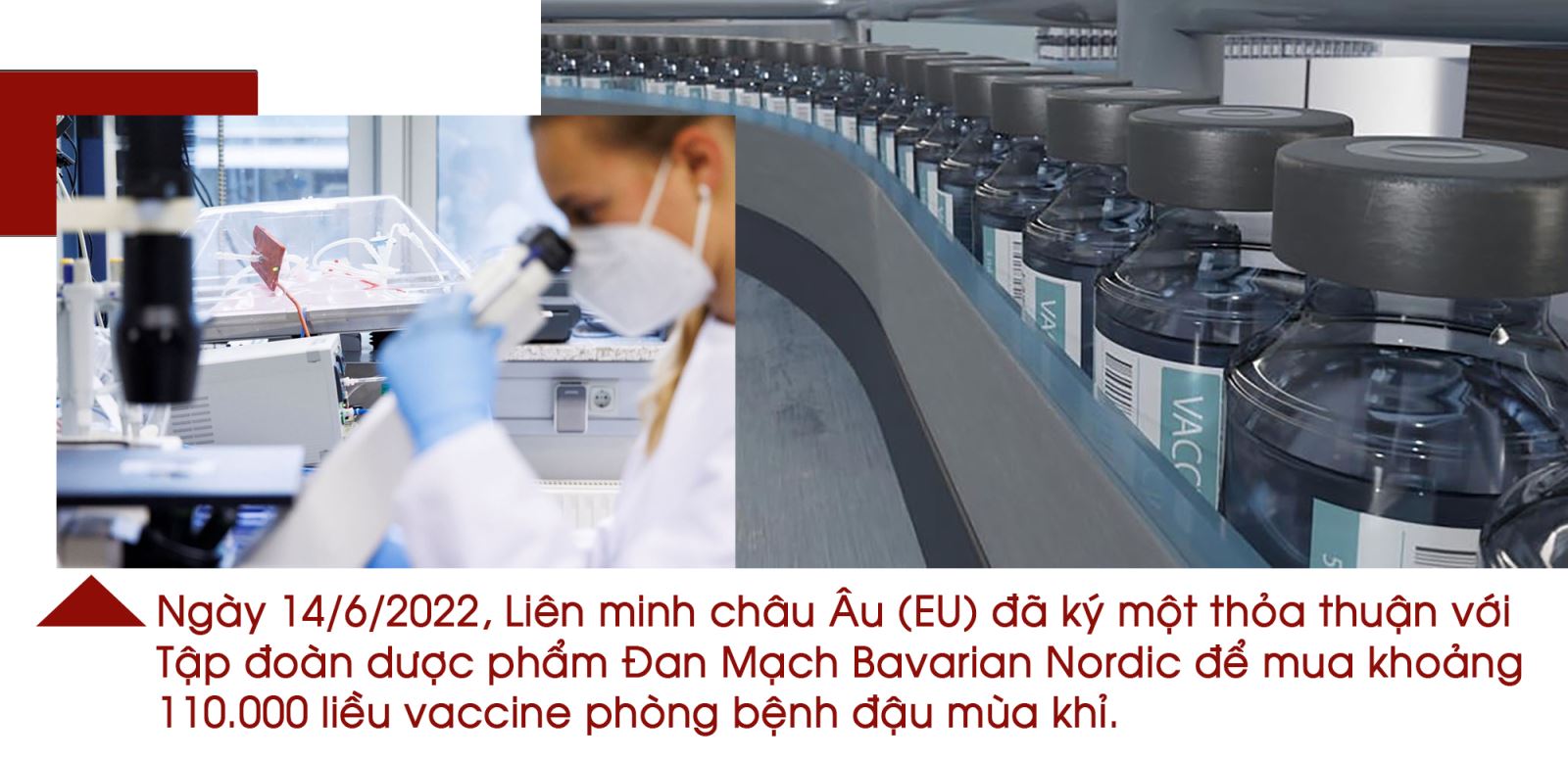 Cảnh giác với bệnh đậu mùa khỉ ảnh 10