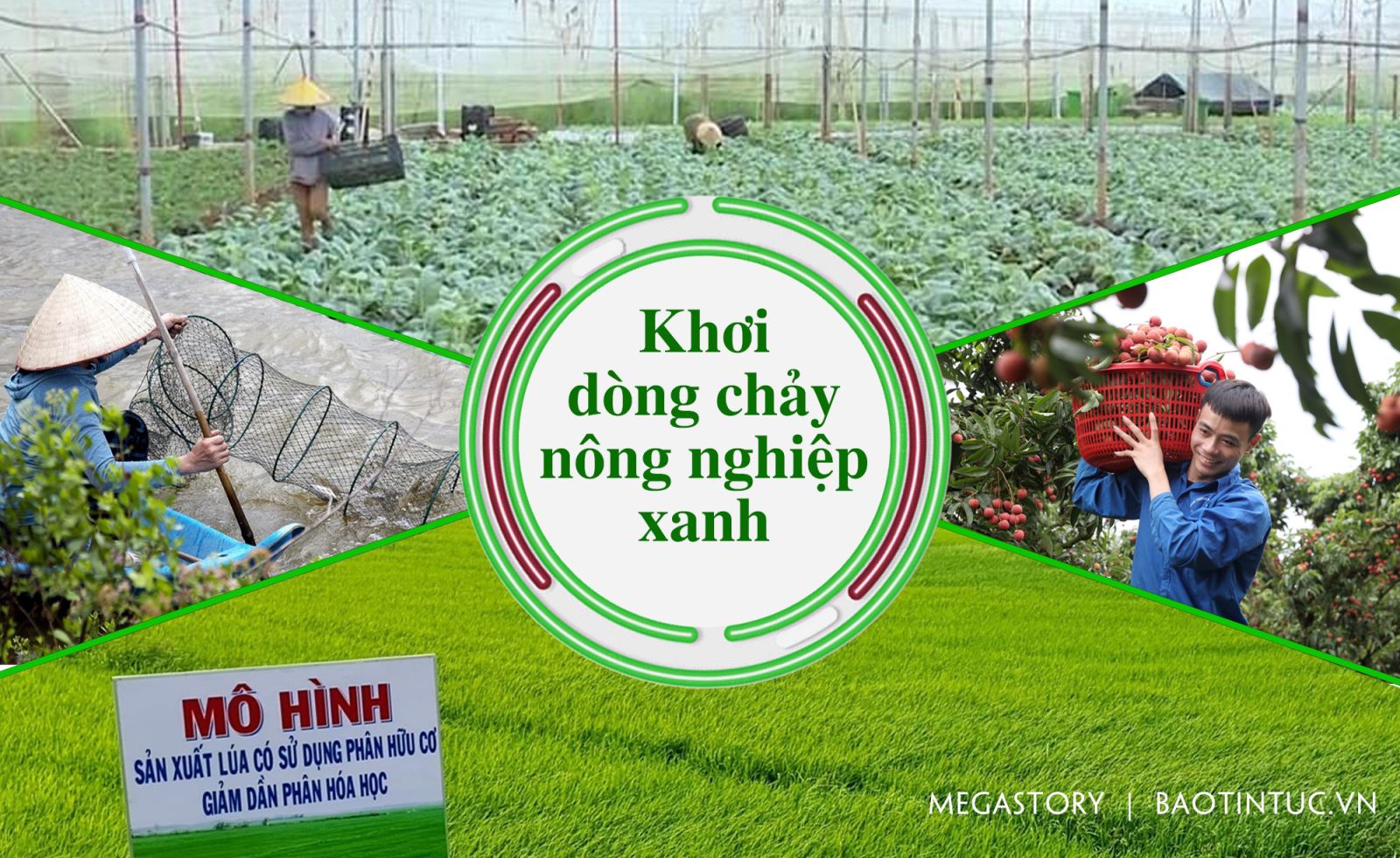 Khơi dòng chảy nông nghiệp xanh