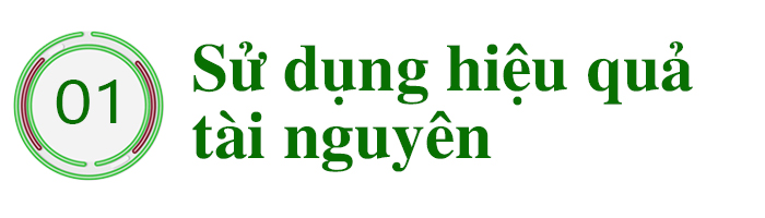 Khơi dòng chảy nông nghiệp xanh ảnh 1