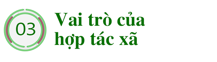 Khơi dòng chảy nông nghiệp xanh ảnh 9