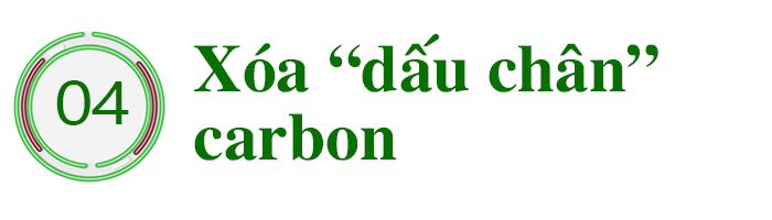 Khơi dòng chảy nông nghiệp xanh ảnh 15