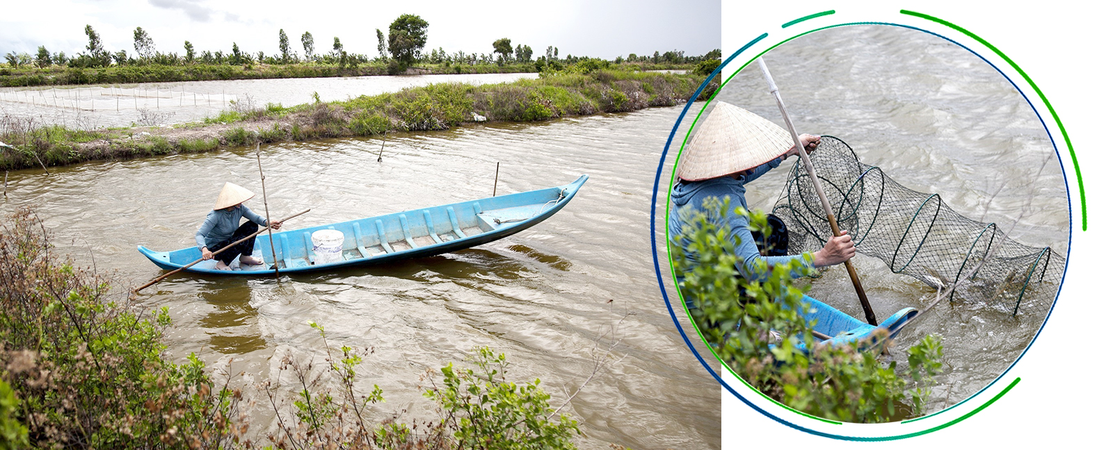 Ao nuôi tôm hữu cơ của Hợp tác xã Đoàn Phát (Cà Mau).