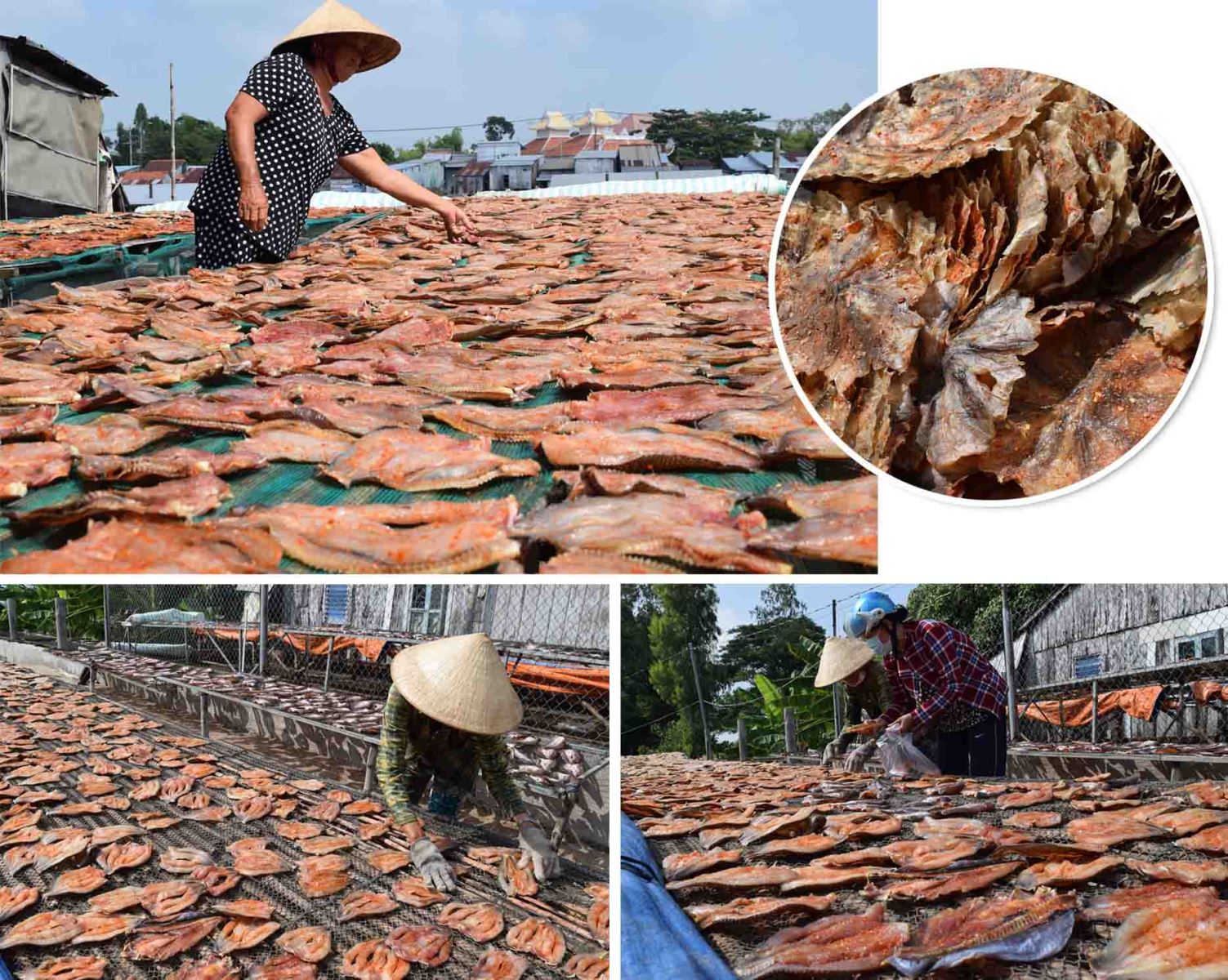 Các cơ sở sản xuất khô cá lóc tại thị xã Hồng Ngự, tỉnh Đồng Tháp.
