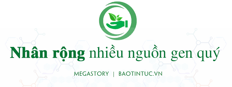 Bảo tồn và phát triển nguồn gen ảnh 1