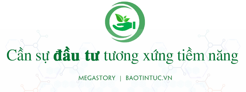 Bảo tồn và phát triển nguồn gen ảnh 11