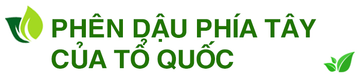 'Kích hoạt' tiềm năng vùng Tây Nguyên ảnh 1