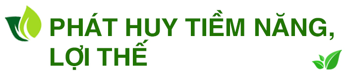 'Kích hoạt' tiềm năng vùng Tây Nguyên ảnh 5
