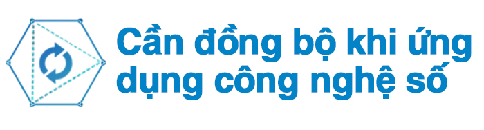 Số hóa di sản ảnh 12