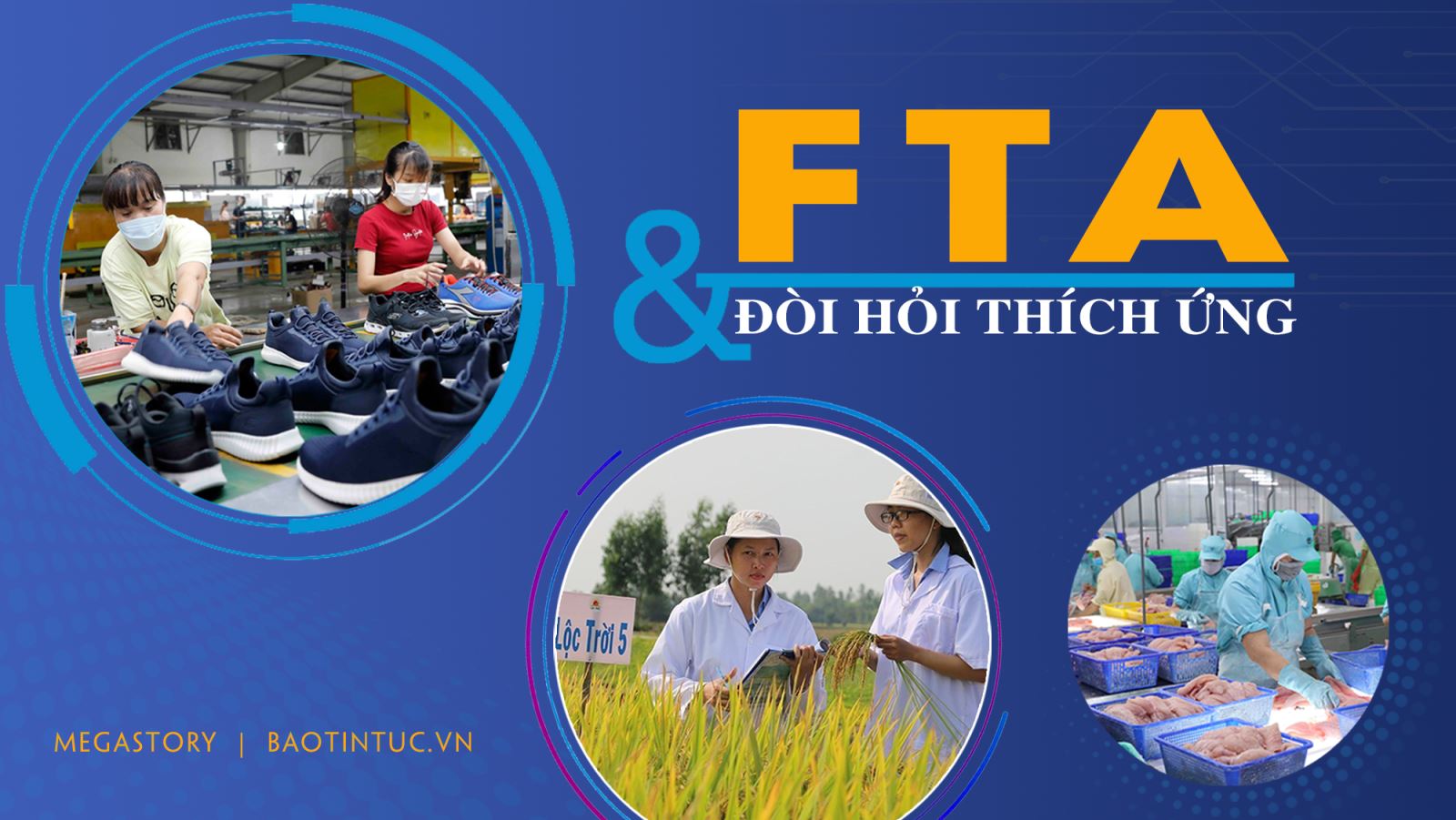 FTA và đòi hỏi thích ứng 