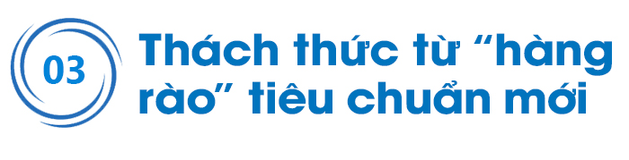 FTA và đòi hỏi thích ứng&nbsp; ảnh 8