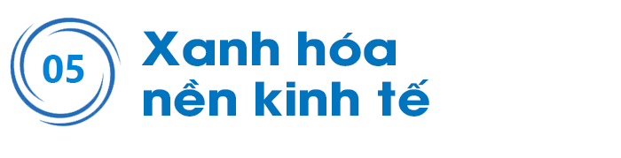 FTA và đòi hỏi thích ứng&nbsp; ảnh 17