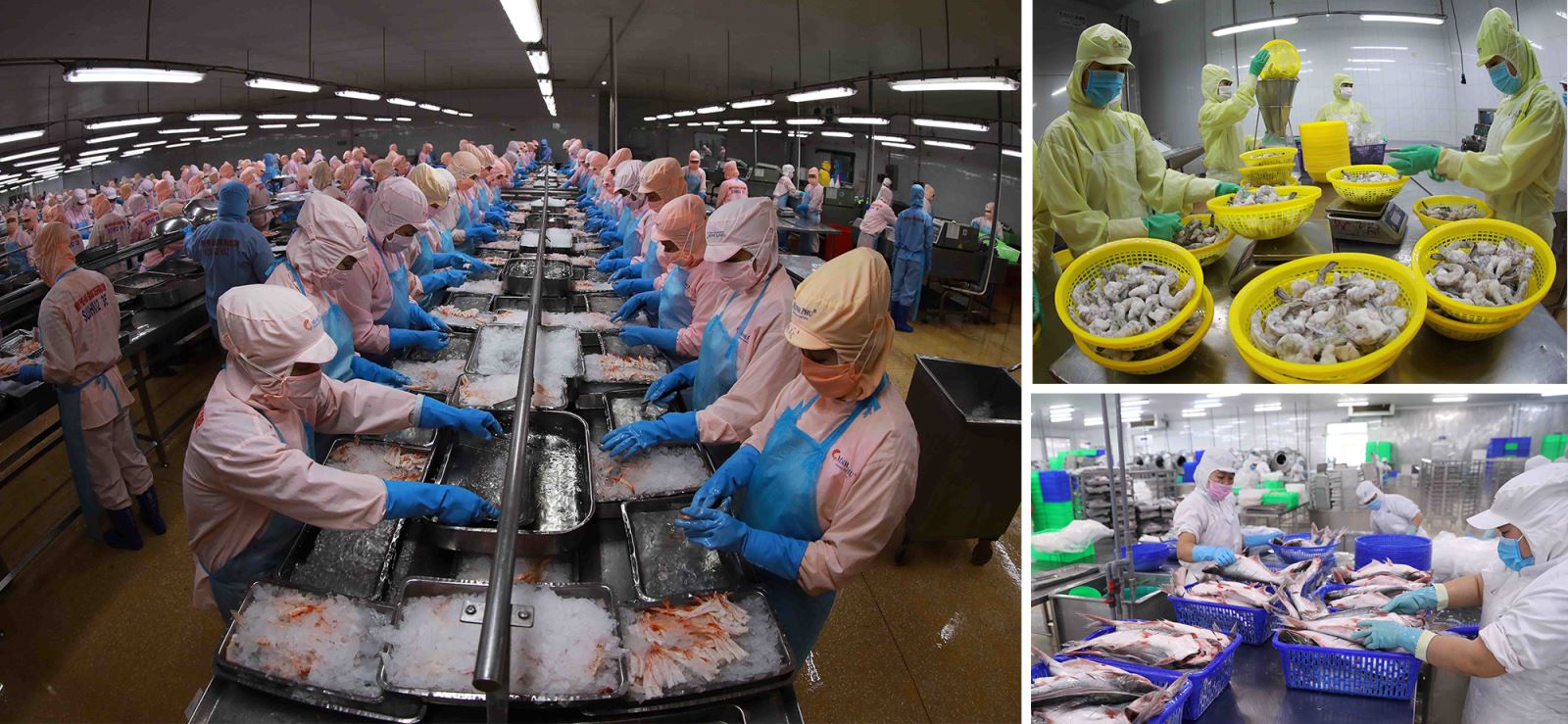 Từ tháng 6/2022, xuất khẩu thủy sản có dấu hiệu hạ nhiệt, tăng trưởng chậm lại.