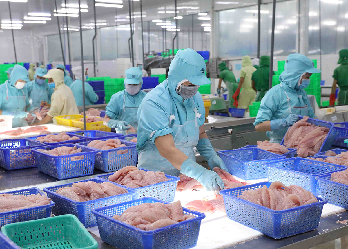 Thủy sản cũng có tốc độ tăng trưởng rất tích cực từ những tháng đầu năm 2022.