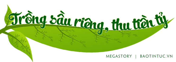 Phát triển bền vững cây sầu riêng ảnh 1