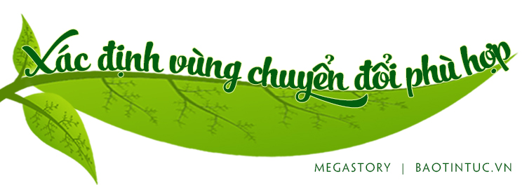 Phát triển bền vững cây sầu riêng ảnh 6