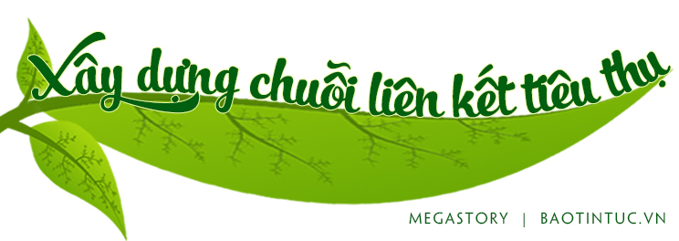 Phát triển bền vững cây sầu riêng ảnh 9