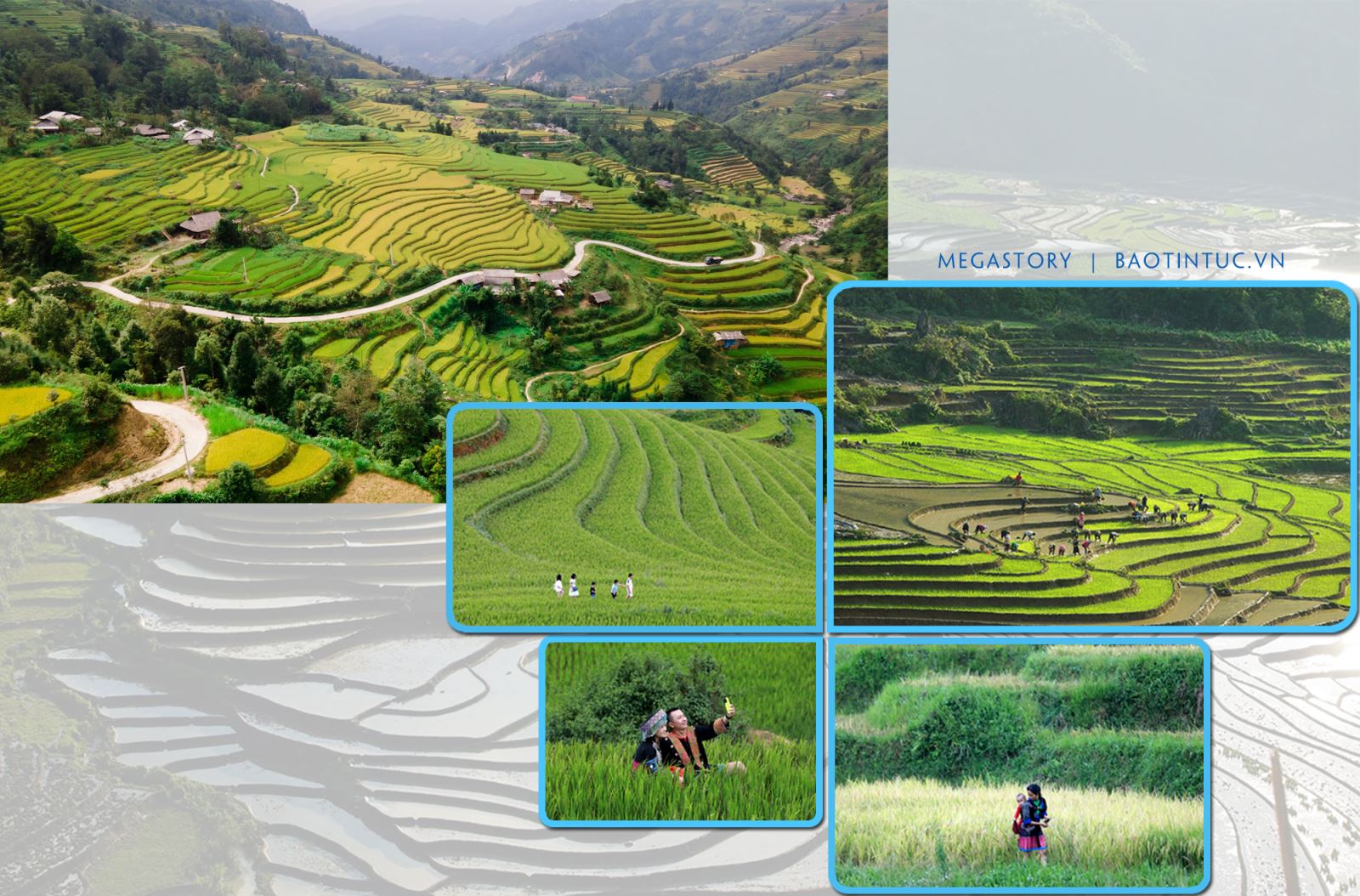 Ruộng bậc thang vào mùa nào cũng rất đẹp, luôn là điểm đến thu hút du khách trong nước và quốc tế.
