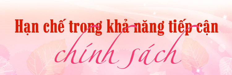 Thêm sinh kế cho phụ nữ yếu thế ảnh 1