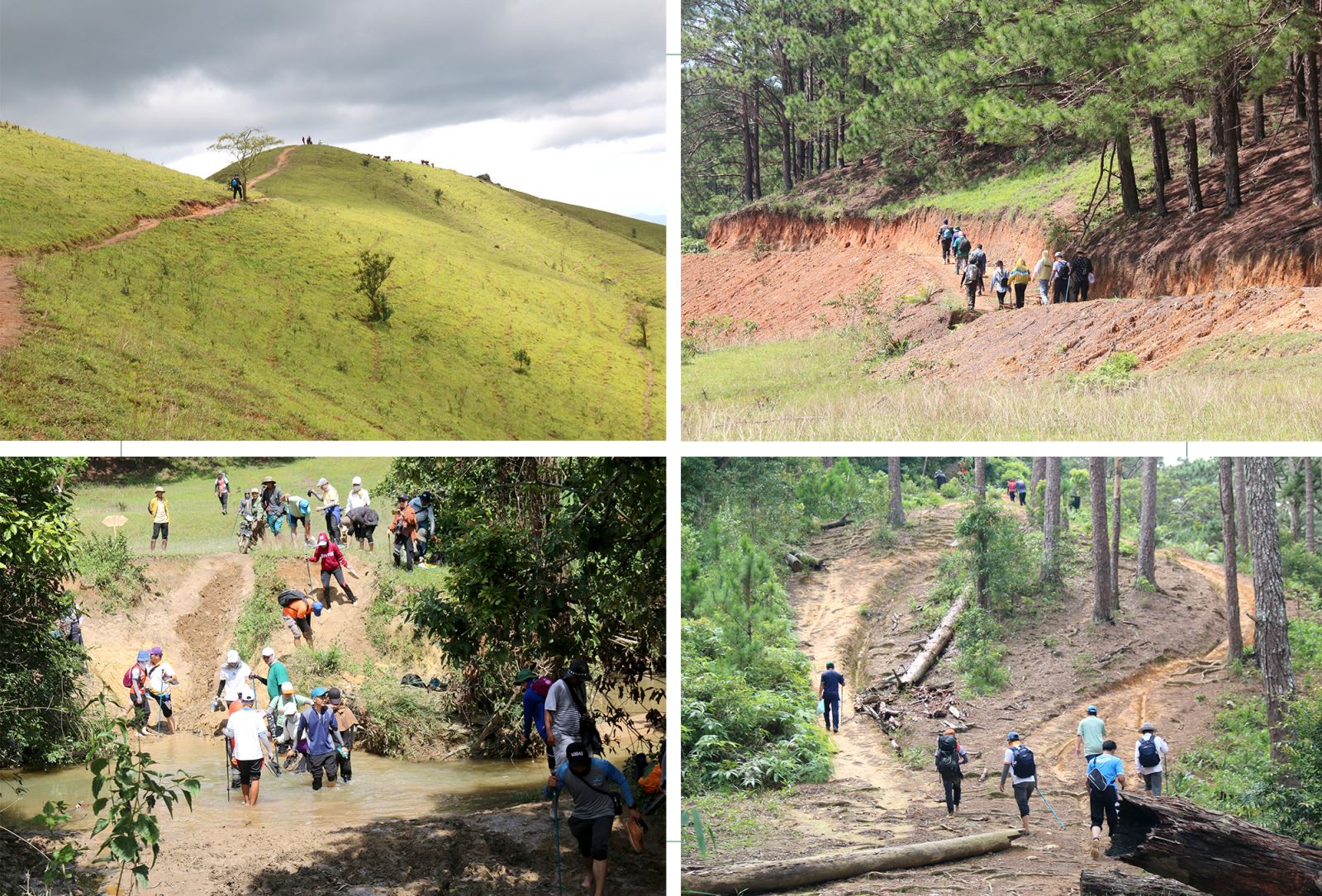 Cung đường trekking Tà Năng - Phan Dũng mạo với nhiều độ khó và nhiều cảnh đẹp thu hút đông đảo giới trẻ khám phá.