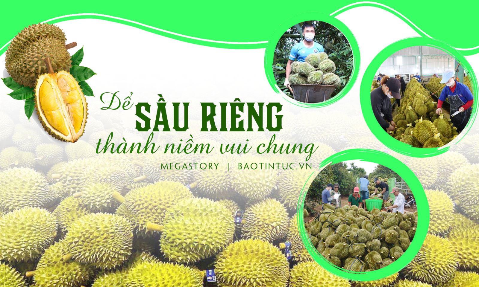 Để sầu riêng thành niềm vui chung