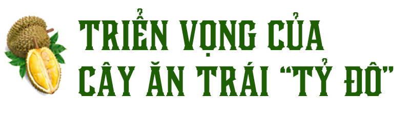 Để sầu riêng thành niềm vui chung ảnh 1