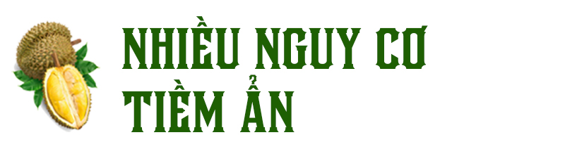 Để sầu riêng thành niềm vui chung ảnh 5
