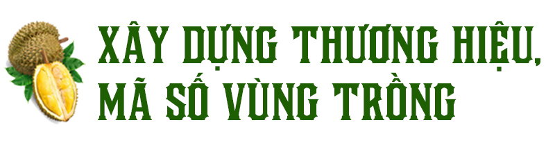Để sầu riêng thành niềm vui chung ảnh 9