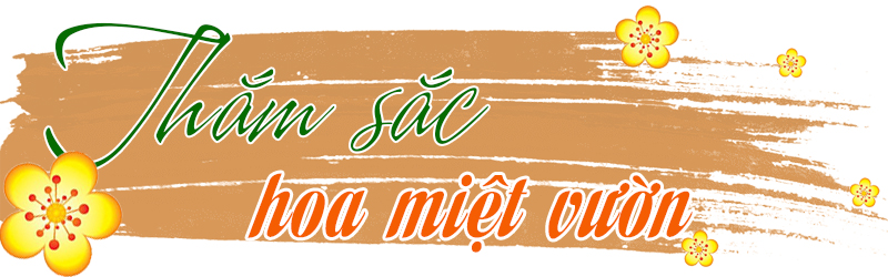 Du Xuân trên đất 'chín Rồng' ảnh 4
