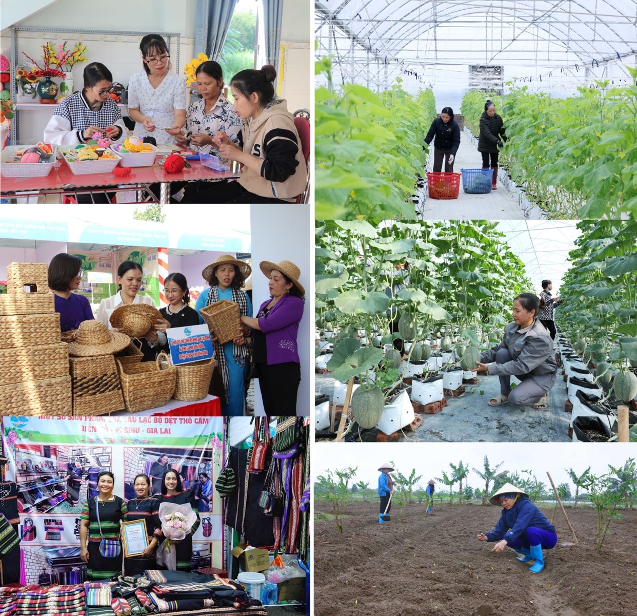 Hỗ trợ khởi nghiệp, tạo sinh kế lâu dài cho phụ nữ là những biện pháp hữu hiệu để chị em không bị “mắc bẫy” lừa đảo, nhất là lừa đảo trên không gian mạng.