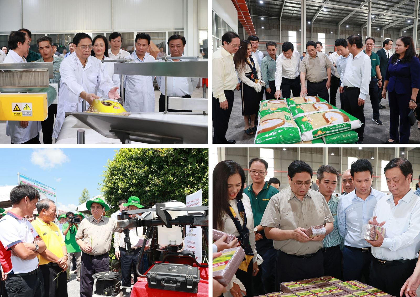 Thủ tướng Phạm Minh Chính thăm mô hình nông nghiệp công nghệ cao tại Đồng Tháp.