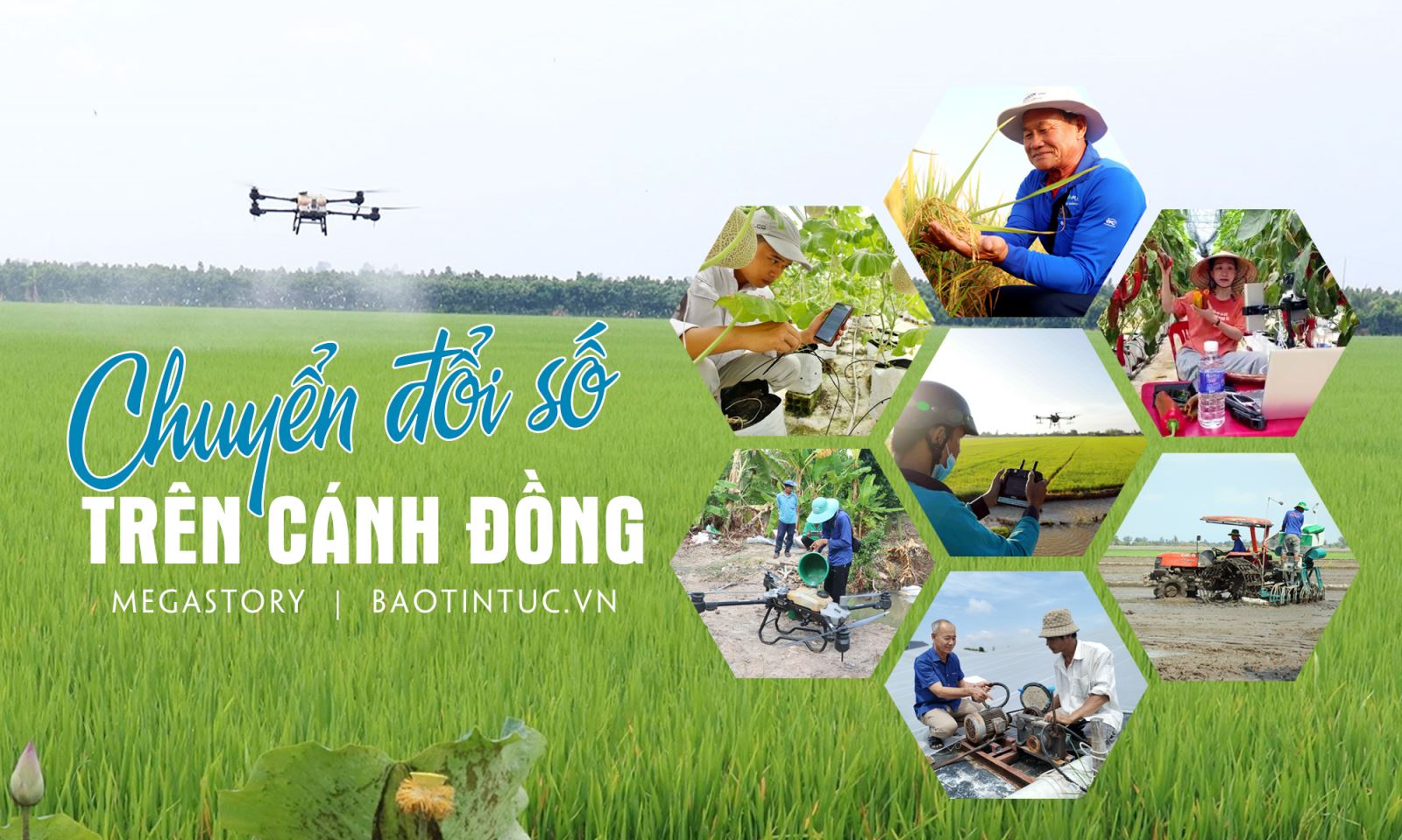 Chuyển đổi số trên cánh đồng