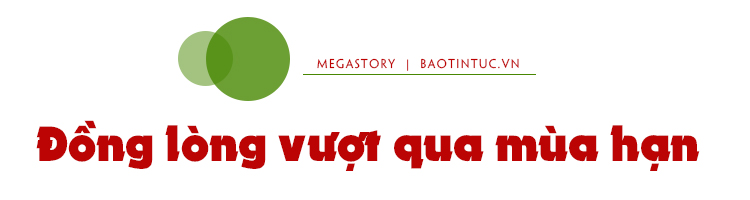 Thuận thiên thích ứng với hạn mặn ảnh 5