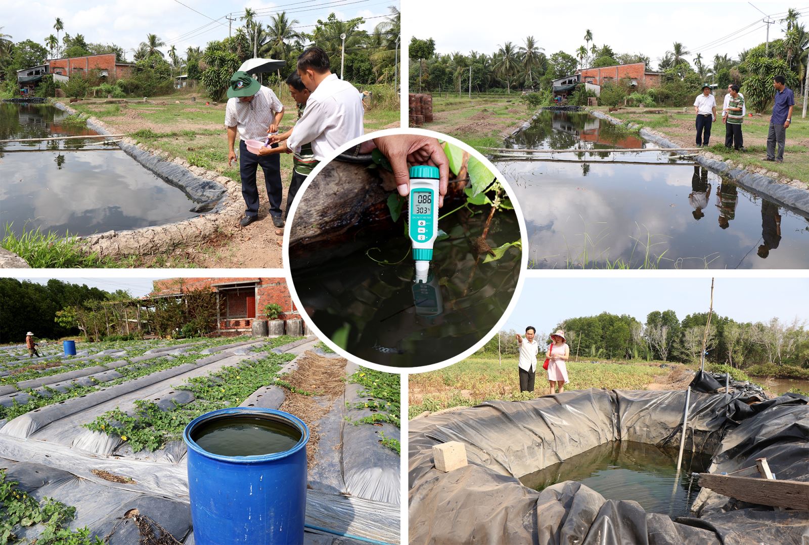 Nhiều nhà vườn tỉnh Bến Tre chủ động đo độ mặn, chuẩn bị sẵn đồ, lót bạt trữ nước ngọt tưới cho rau màu trong mùa hạn mặn.