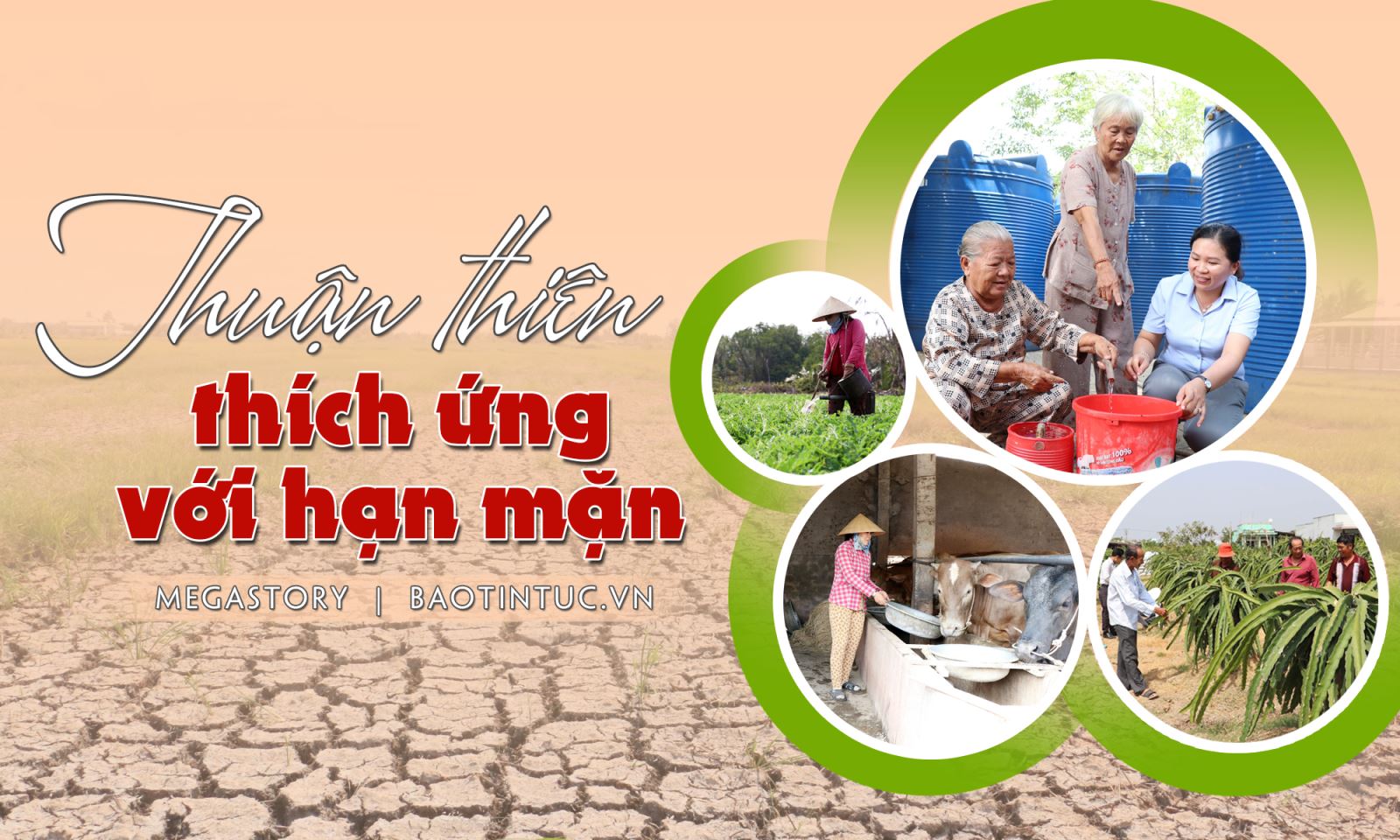 Thuận thiên thích ứng với hạn mặn