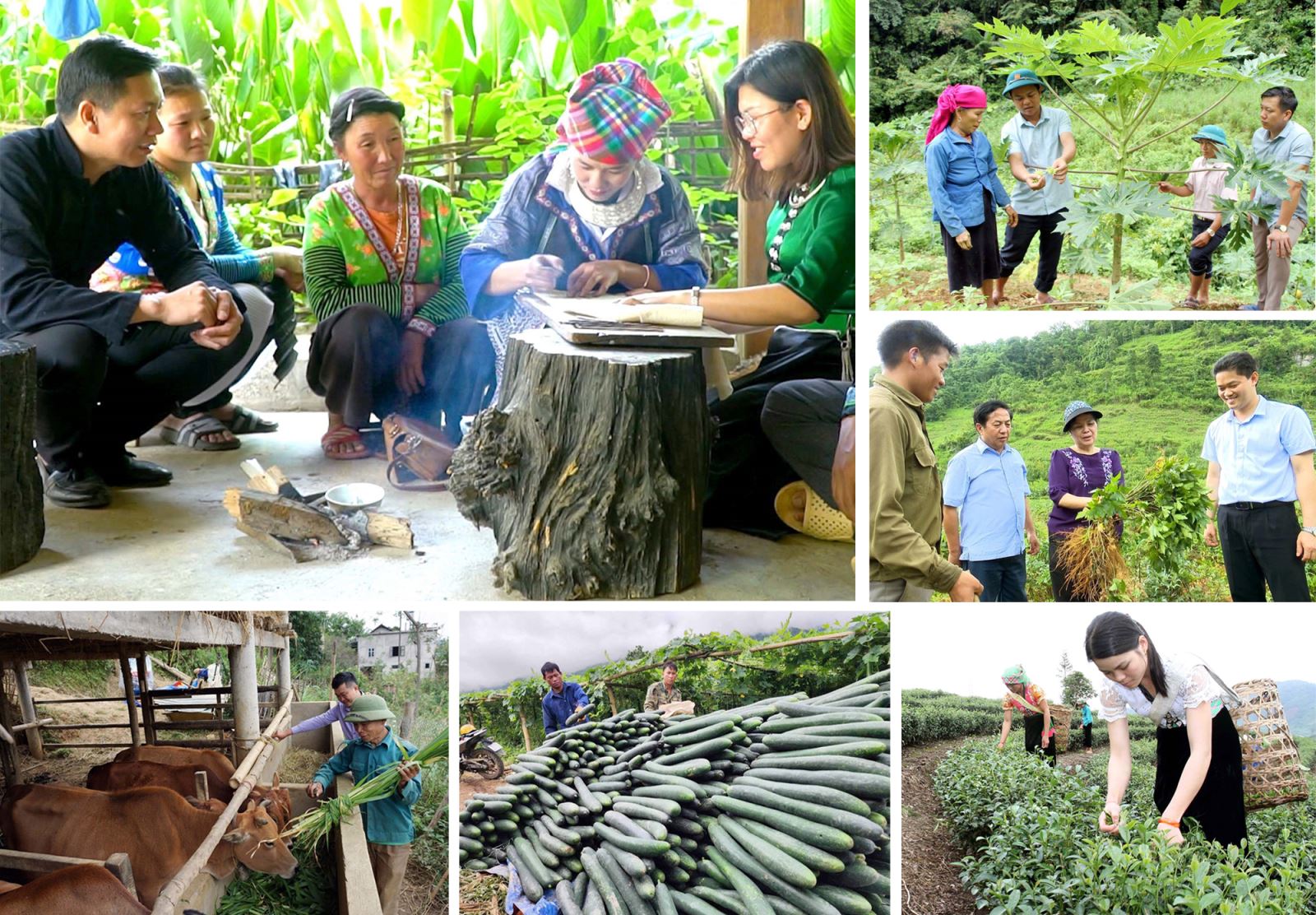 Cần coi việc thu hẹp khoảng cách giữa miền núi và đồng bằng là một đột phá chiến lược của giai đoạn 2026 - 2030.