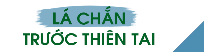 Kinh tế thích ứng với biến đổi khí hậu ảnh 7