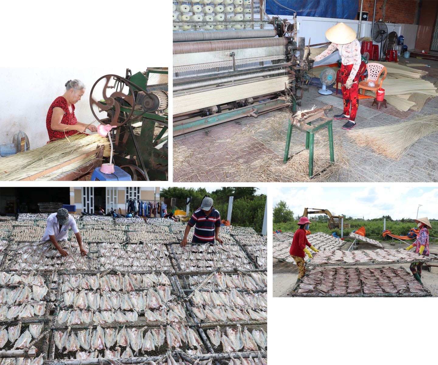 Đa dạng hóa sinh kế, giúp người dân thoát nghèo bền vững.