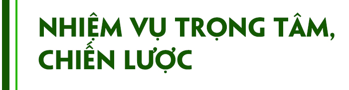 Cuộc 'cách mạng' xóa đói, giảm nghèo&nbsp; ảnh 5