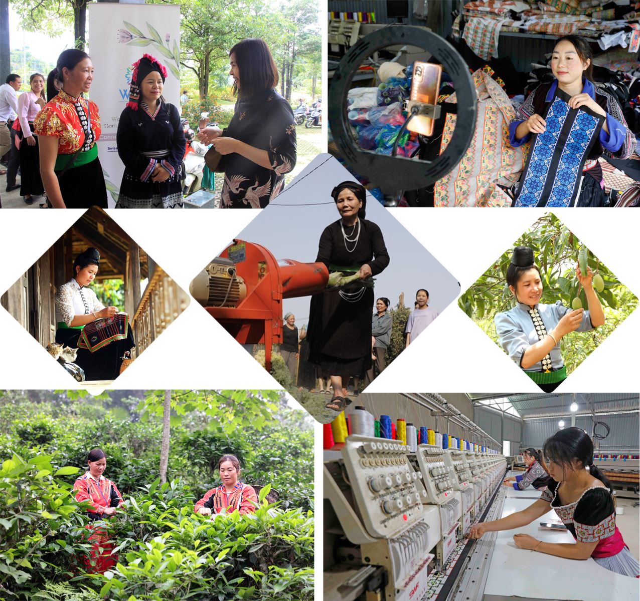 Hỗ trợ phát triển sinh kế, giúp phụ nữ phát triển kinh tế sẽ góp phần thúc đẩy bình đẳng giới.