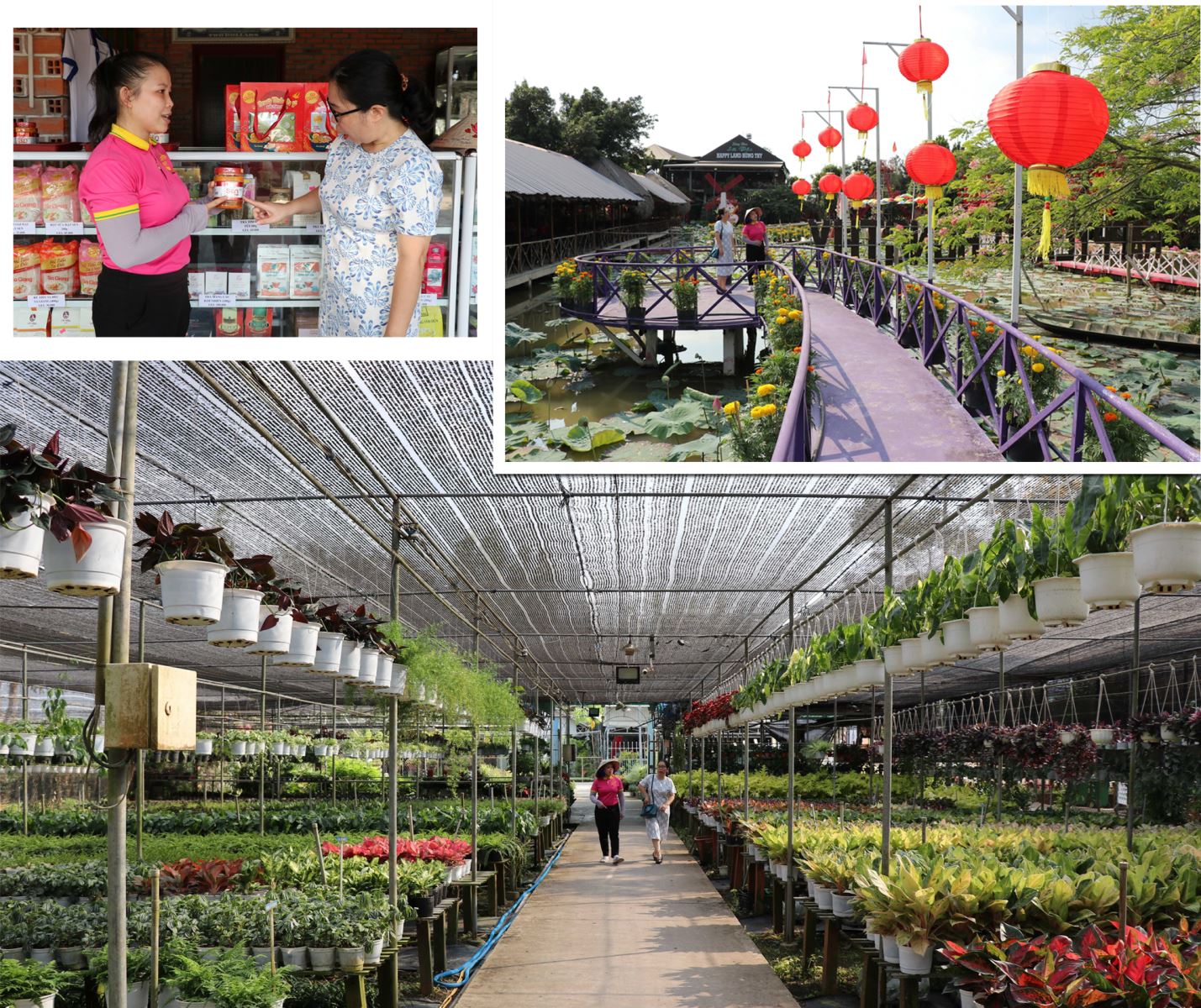Du khách hòa mình vào không gian miệt vườn Tây Nam Bộ xanh mát và tìm hiểu đặc sản Đồng Tháp tại khu du lịch vui chơi miệt vườn Happy Land Hùng Thy (Làng hoa Sa Đéc).