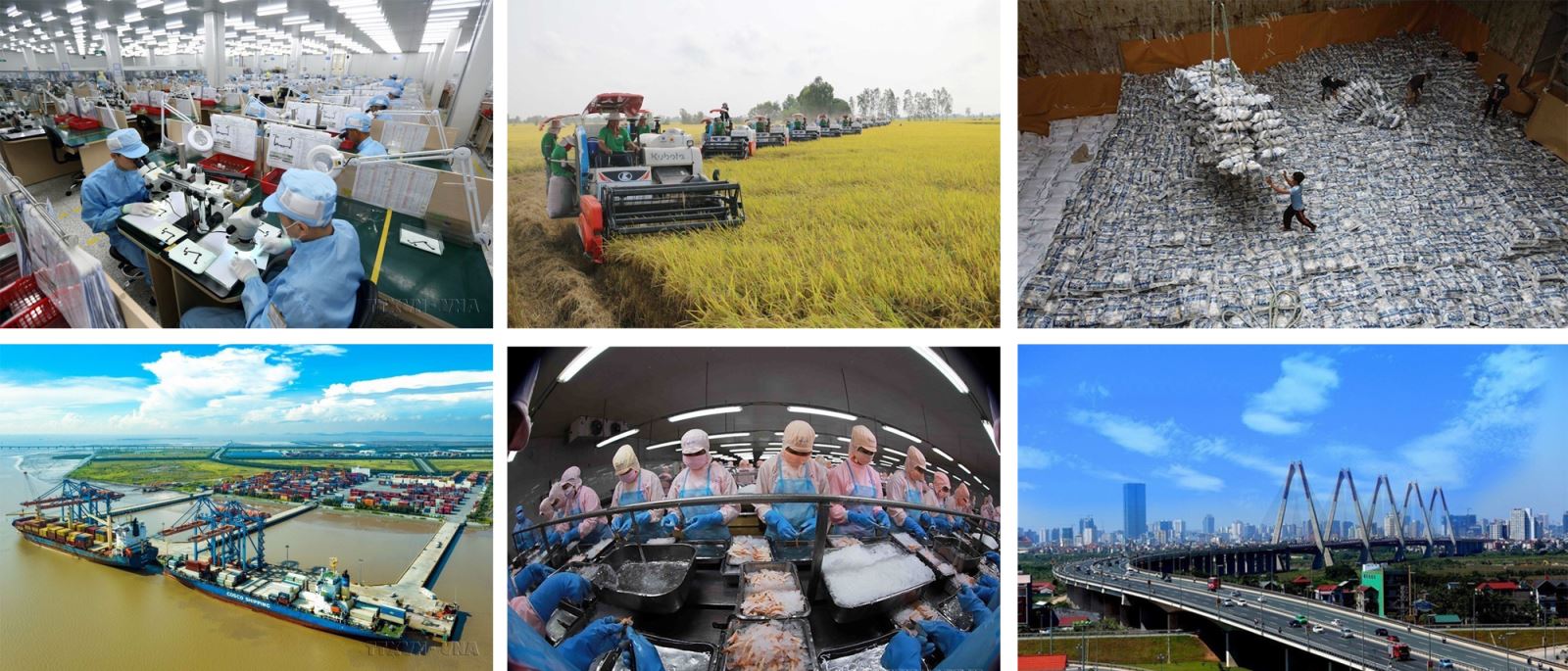Việc đặt thể chế kinh tế là trọng tâm khẳng định kinh tế là trụ cột tạo nguồn lực vật chất cho sự phát triển.
