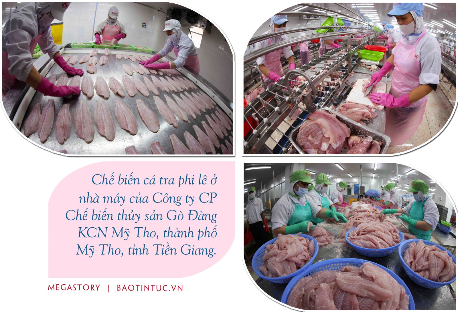 50 năm đất nước nở hoa ảnh 3