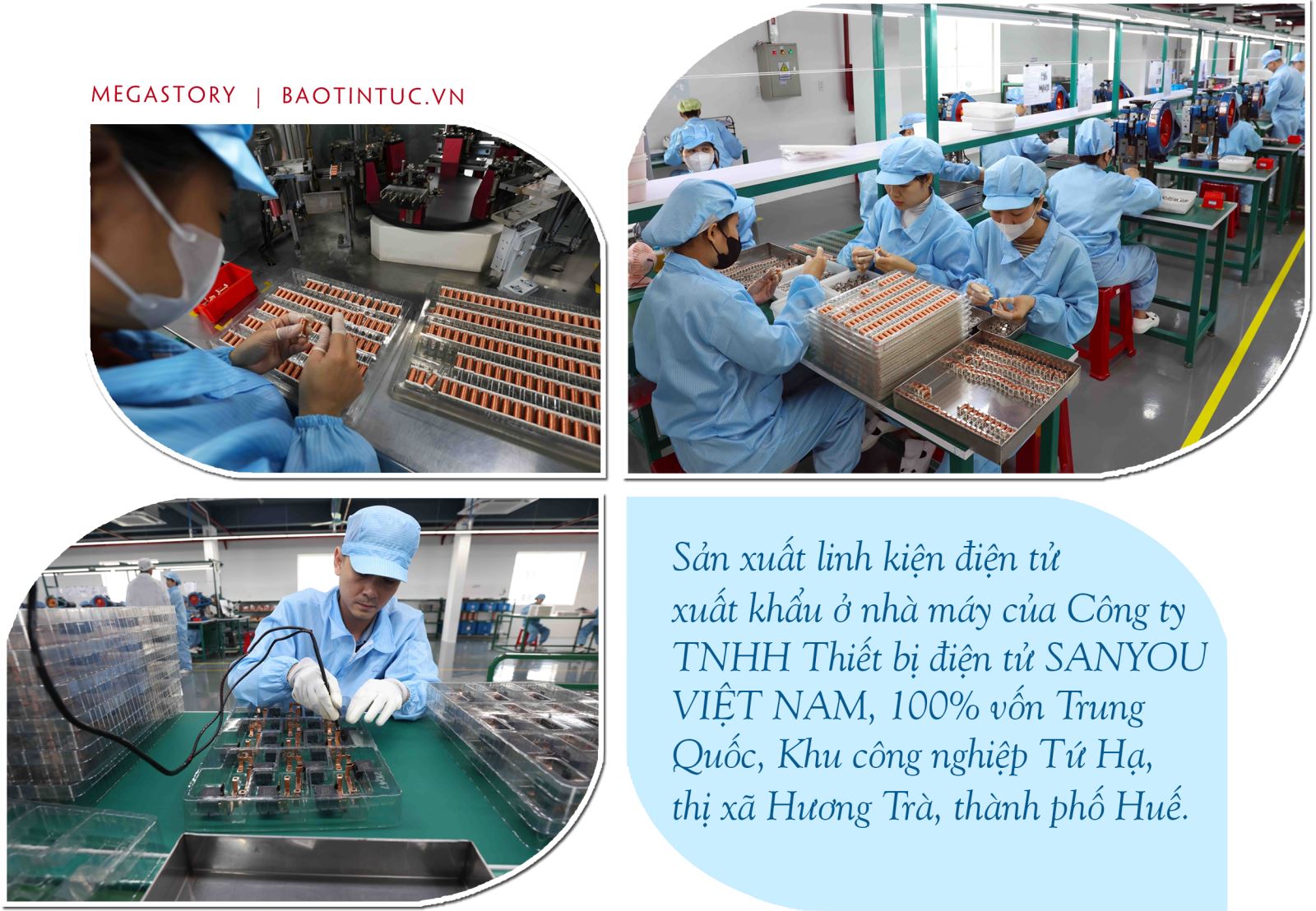 50 năm đất nước nở hoa ảnh 4