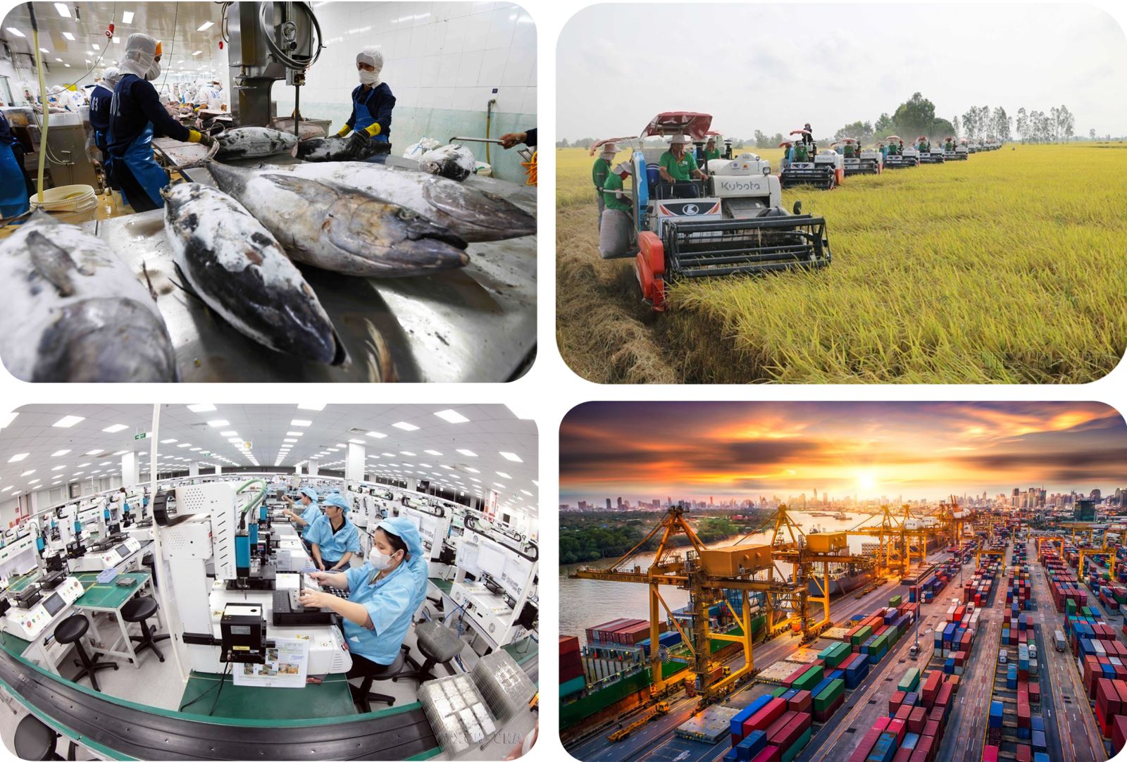 Hoàn thiện thể chế, pháp luật nhằm giải phóng toàn bộ sức sản xuất, khơi thông mọi nguồn lực, phát huy mọi tiềm năng, thế mạnh của đất nước, tận dụng mọi cơ hội phát triển.