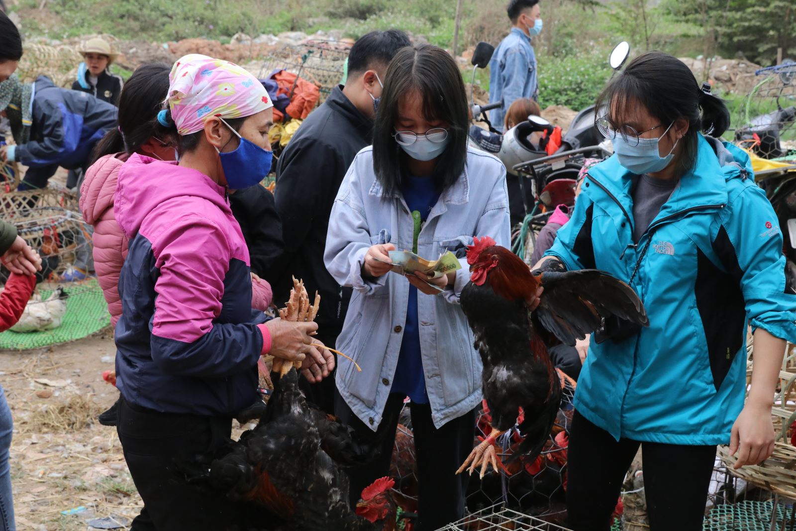 Chú thích ảnh